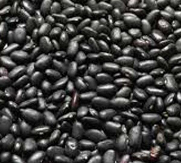 Black Kidney Beans