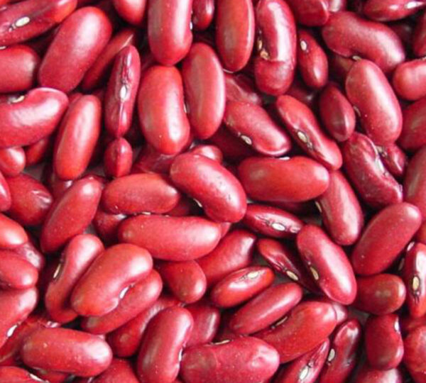 Red Kidney Beans (South Type)