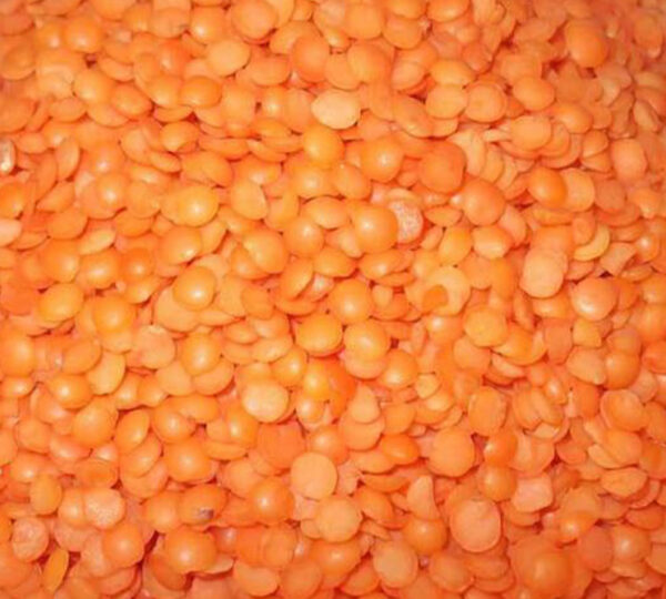 Red Lentils